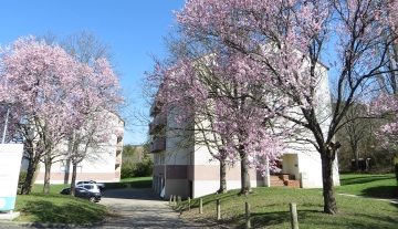 Logements T2  - Résidence Le Saint-Amand